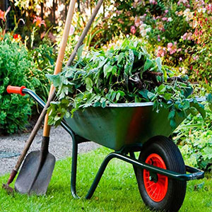 Garden and Landscaping Services