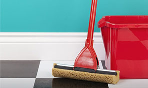 House Cleaning and Maid Services